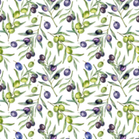 naadloos waterverf olijven patroon met olijf- takken. olijven achtergrond voor achtergronden, ansichtkaarten, groet kaarten, bruiloft nodigt uit, textiel, evenementen. bloemen waterverf png