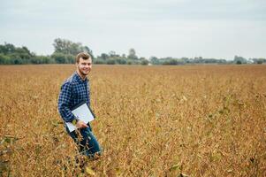 Agronomist holds tablet touch pad computer in the soy field and examining crops before harvesting. Agribusiness concept. agricultural engineer standing in a soy field with a tablet. photo