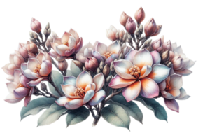 aigénéré une fleurs frangipanier png