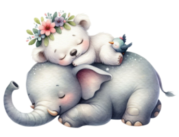 aigenerato elefante e un' bambino orso png