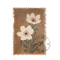 Brown Vintage Botanical Postage Stamp. Old Mail Postmark with Flower Isolated on Transparent Background png