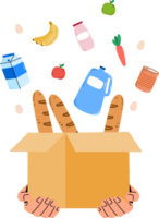 Food Donation Illustration png