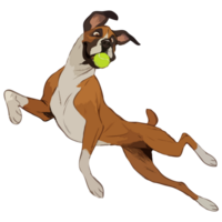 Dog Catching A Ball png
