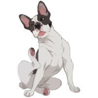 mignonne chien image png