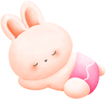 The pink rabbit girl is sleeping. png