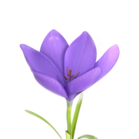 3d le rendu violet fleur png