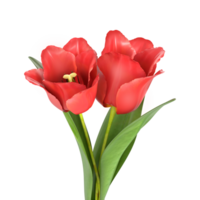 3d representación rojo tulipán flores png