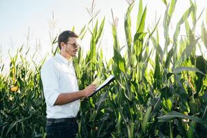 Agronomist holds tablet touch pad computer in the corn field and examining crops before harvesting. Agribusiness concept. agricultural engineer standing in a corn field with a tablet in summer. photo