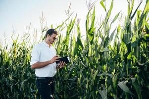 Agronomist holds tablet touch pad computer in the corn field and examining crops before harvesting. Agribusiness concept. agricultural engineer standing in a corn field with a tablet in summer. photo