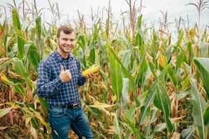 Agronomist holds tablet touch pad computer in the corn field and examining crops before harvesting. Agribusiness concept. agricultural engineer standing in a corn field with a tablet. photo