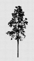 Tree silhouette on transparent background with clipping path and alpha photo