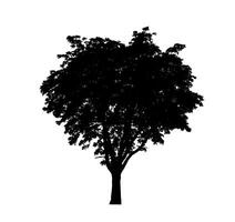 Tree silhouette for brush on white background photo