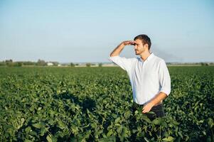 Agronomist holds tablet touch pad computer in the soy field and examining crops before harvesting. Agribusiness concept. agricultural engineer standing in a soy field with a tablet in summer. photo