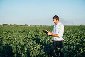 Agronomist holds tablet touch pad computer in the soy field and examining crops before harvesting. Agribusiness concept. agricultural engineer standing in a soy field with a tablet in summer. photo