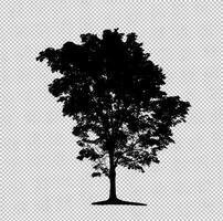 Tree silhouette on transparent background with clipping path and alpha photo