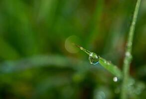 gota de rocío en la mañana en la hoja foto