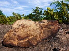 Rock on the ground. photo