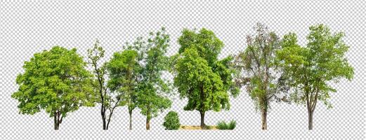 Green trees isolated on transparent background forest and summer foliage for both print and web with cut path and alpha channel photo