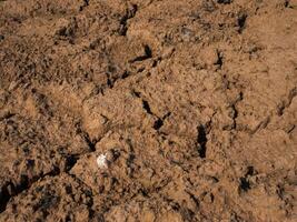 Closeup of dry soil, The soil is dry and parched. photo