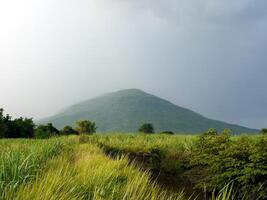 Rain over forest mountains. photo