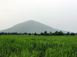 Rain over forest mountains. photo