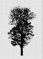 Tree silhouette on transparent background with clipping path and alpha photo