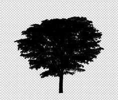 Tree silhouette on transparent background with clipping path and alpha photo