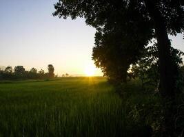 Spectacular sunset over, orange sun rising up over the horizon photo