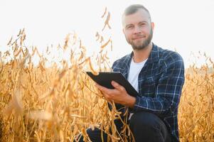 Young agronomist holds tablet touch pad computer in the soy field and examining crops before harvesting. Agribusiness concept. agricultural engineer standing in a soy field with a tablet. photo