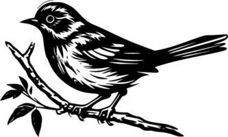 Bird, Black and White illustration vector