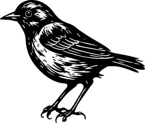 Sparrow - Minimalist and Flat Logo - illustration