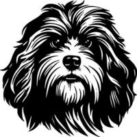 Havanese, Black and White illustration vector