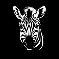 Zebra Baby, Black and White illustration vector