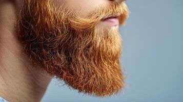 A man with a red beard in close-up view photo