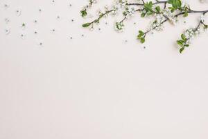 foto de primavera blanco Cereza florecer árbol en pastel antecedentes. ver desde arriba, plano poner, Copiar espacio. primavera y verano antecedentes