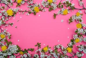 photo of spring white cherry blossom tree on pastel pink background. View from above, flat lay.