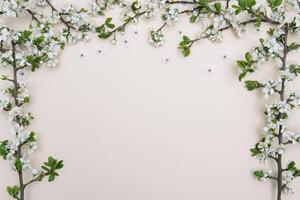 Spring nature background with lovely blossom in yellow pastel color, top view, banner. Springtime concept photo