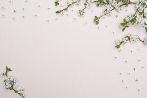 photo of spring white cherry blossom tree on pastel background. View from above, flat lay, copy space. Spring and summer background