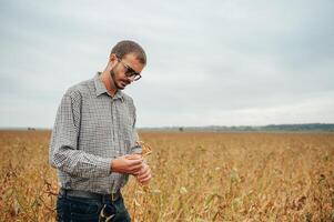 Agronomist holds tablet touch pad computer in the soy field and examining crops before harvesting. Agribusiness concept. agricultural engineer standing in a soy field with a tablet. photo