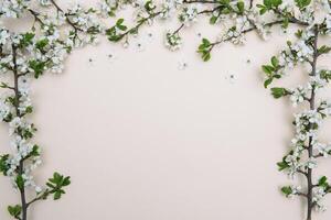 foto de primavera blanco Cereza florecer árbol en pastel antecedentes. ver desde arriba, plano poner, Copiar espacio. primavera y verano antecedentes.