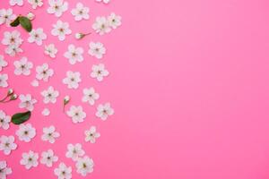 cherry flowers on the pink background. spring background photo