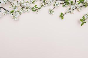 Spring nature background with lovely blossom in yellow pastel color, top view, banner. Springtime concept photo