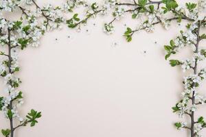 photo of spring white cherry blossom tree on pastel background. View from above, flat lay, copy space. Spring and summer background