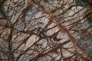 brown marble natural pattern for background, abstract photo