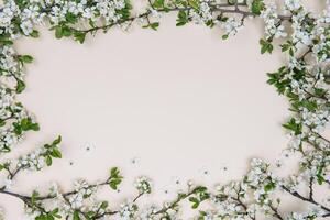 Spring nature background with lovely blossom in yellow pastel color, top view, banner. Springtime concept. photo