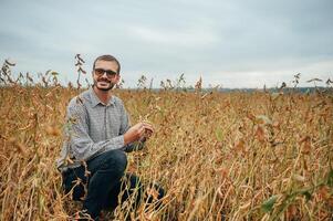 Agronomist holds tablet touch pad computer in the soy field and examining crops before harvesting. Agribusiness concept. agricultural engineer standing in a soy field with a tablet. photo