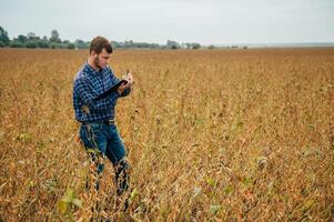 Agronomist holds tablet touch pad computer in the soy field and examining crops before harvesting. Agribusiness concept. agricultural engineer standing in a soy field with a tablet. photo