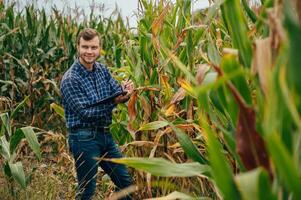 Agronomist holds tablet touch pad computer in the corn field and examining crops before harvesting. Agribusiness concept. agricultural engineer standing in a corn field with a tablet. photo