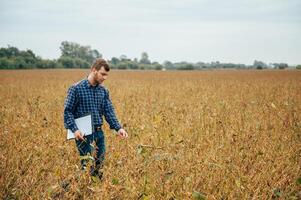 Agronomist holds tablet touch pad computer in the soy field and examining crops before harvesting. Agribusiness concept. agricultural engineer standing in a soy field with a tablet. photo
