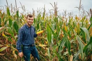 Agronomist holds tablet touch pad computer in the corn field and examining crops before harvesting. Agribusiness concept. agricultural engineer standing in a corn field with a tablet. photo